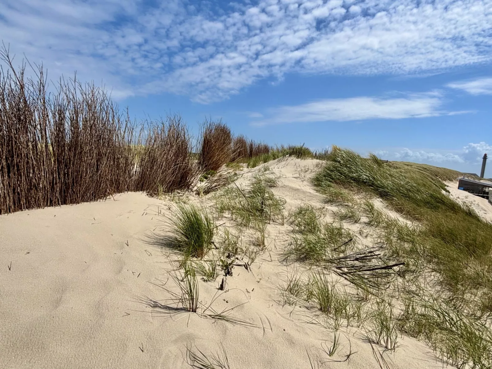 Beach House Westkapelle 103 C-Omgeving