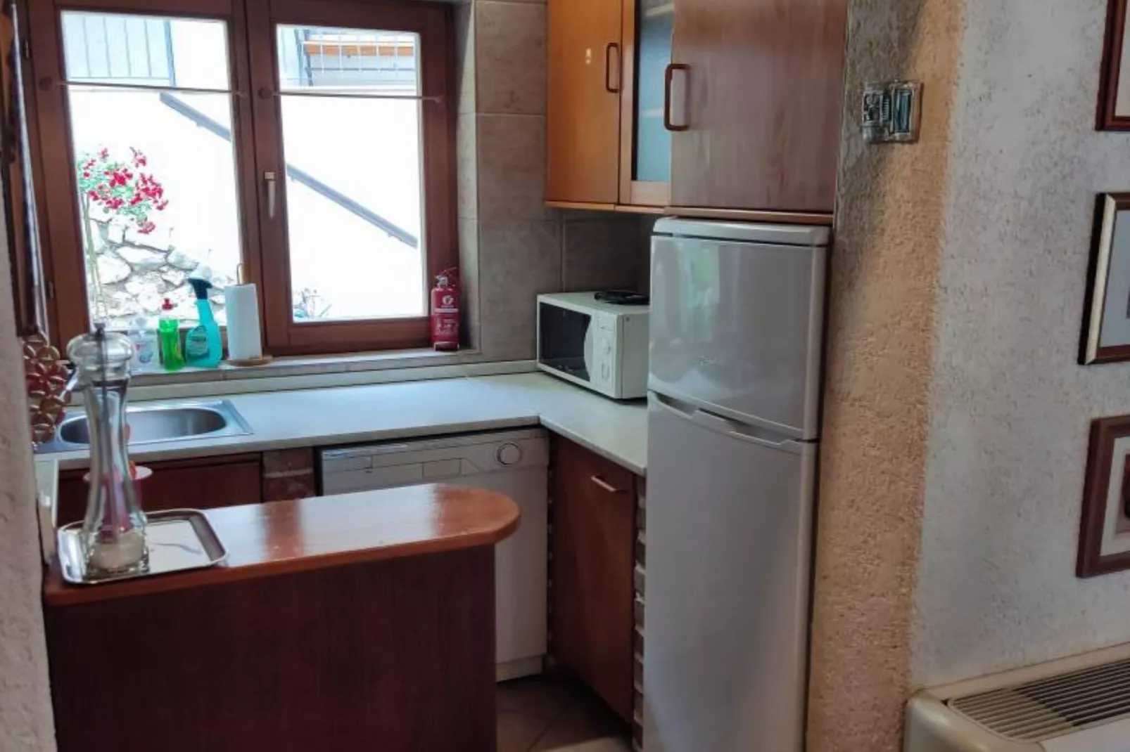 Apartment & Rooms Villa Oliva - Two Bedroom Apartment-Keuken
