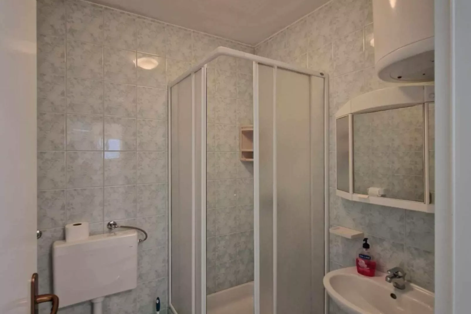 Apartments Dana - One Bedroom Apartment 5-Badkamer