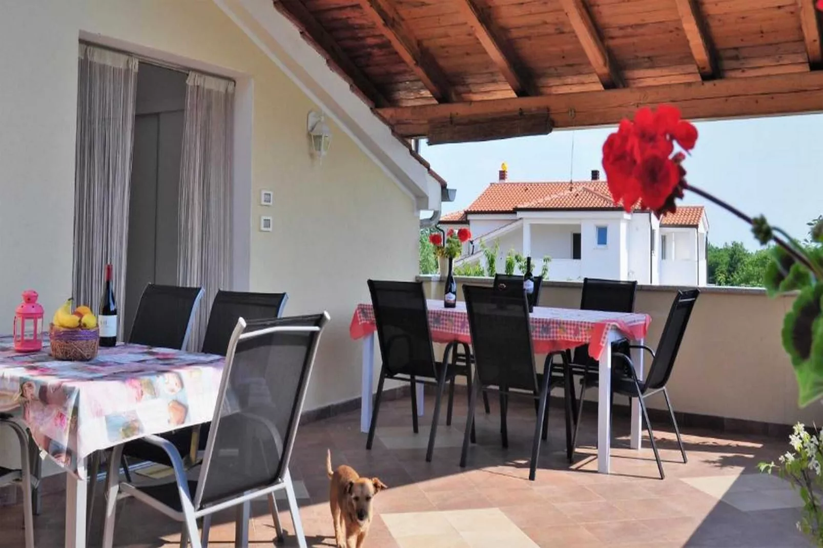 Apartments Belicka - Two Bedroom Apartment with shared  Terrace - A2-Terras