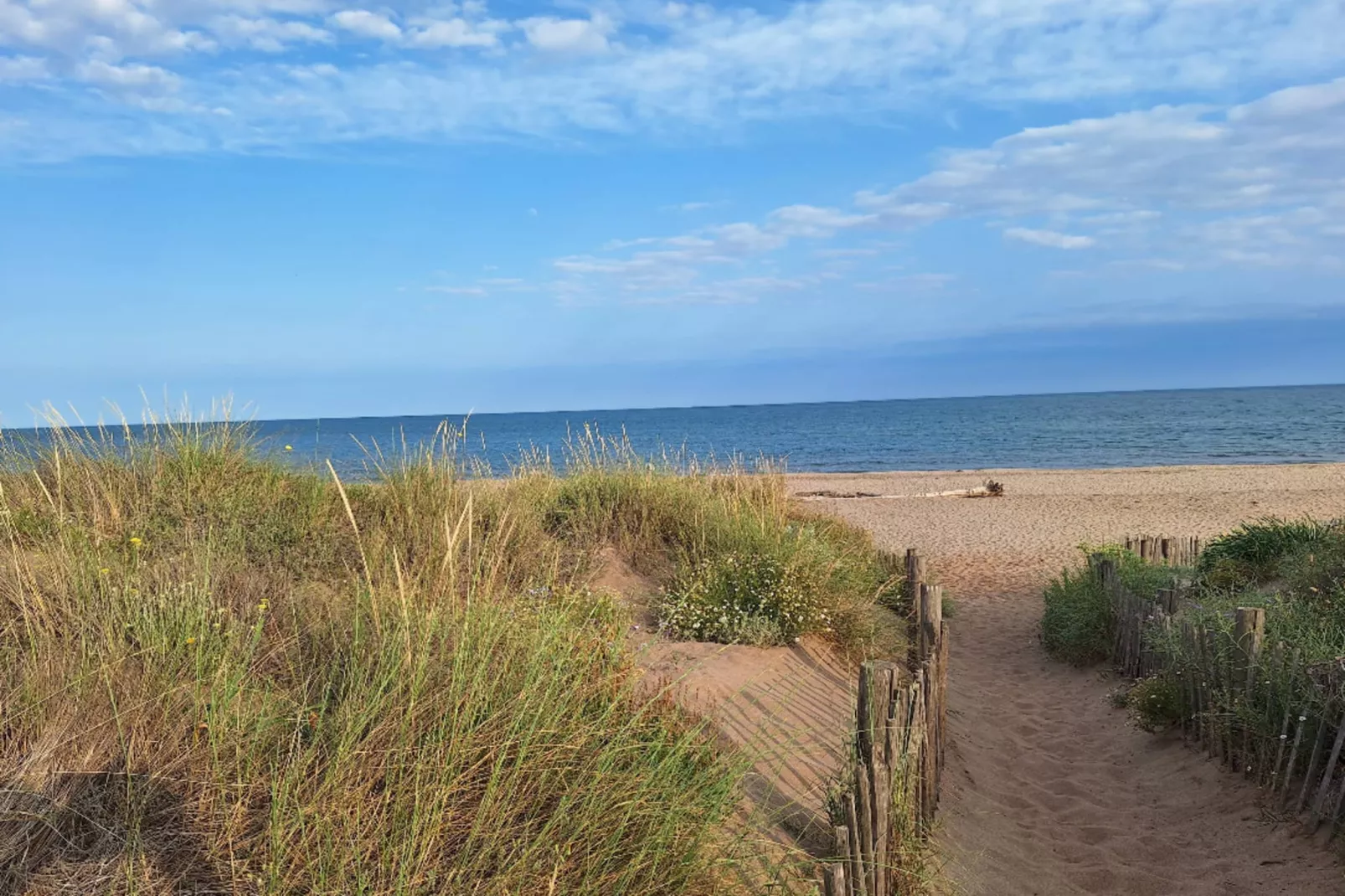 48 Escapade Plage à-Gebieden zomer 5km