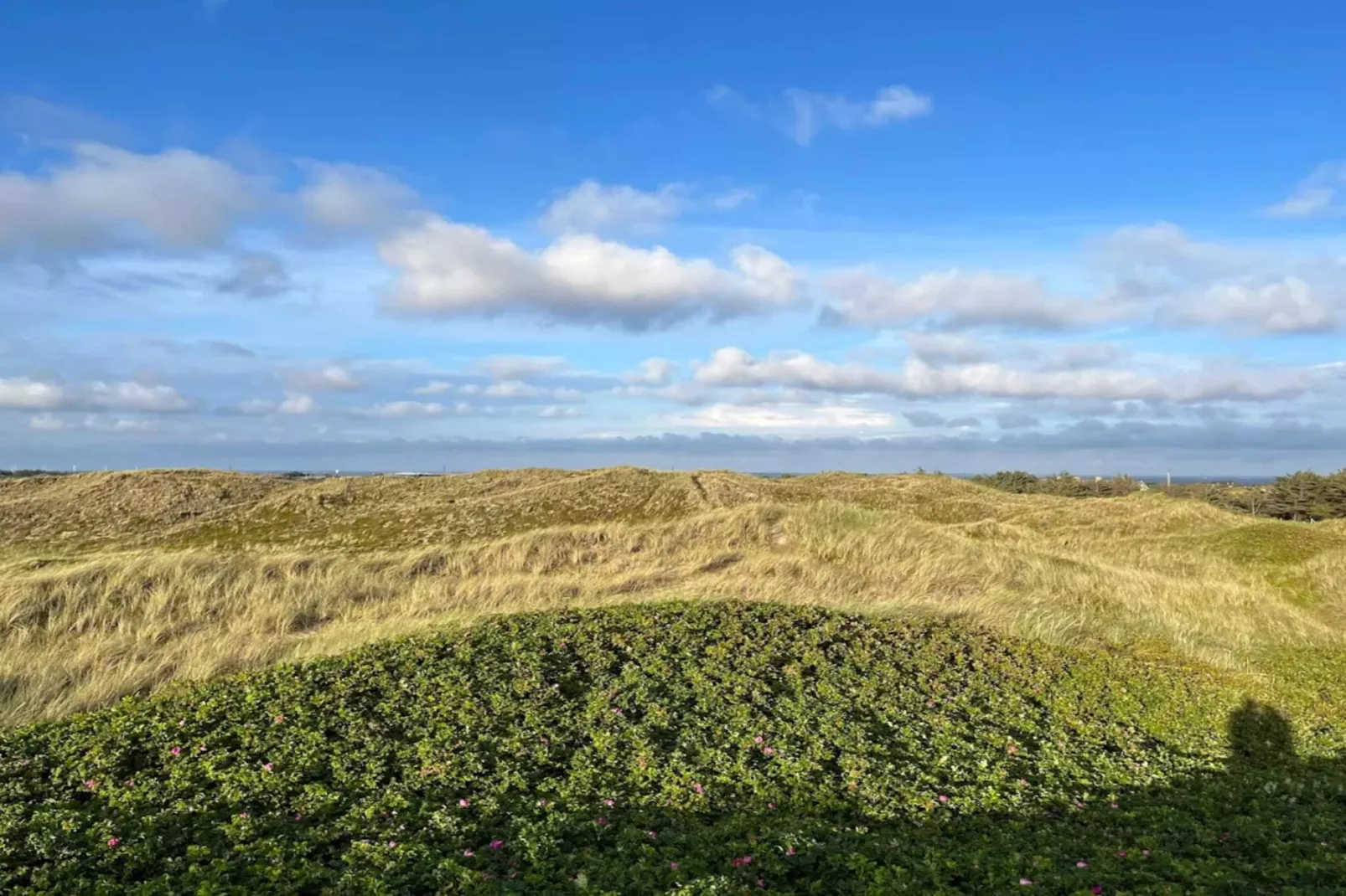 6 persoons vakantie huis in Hvide Sande-Waterzicht