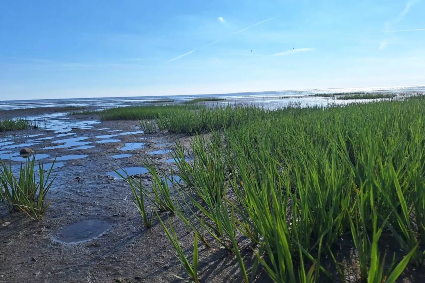 6 persoons vakantie huis in Esbjerg V-Waterzicht