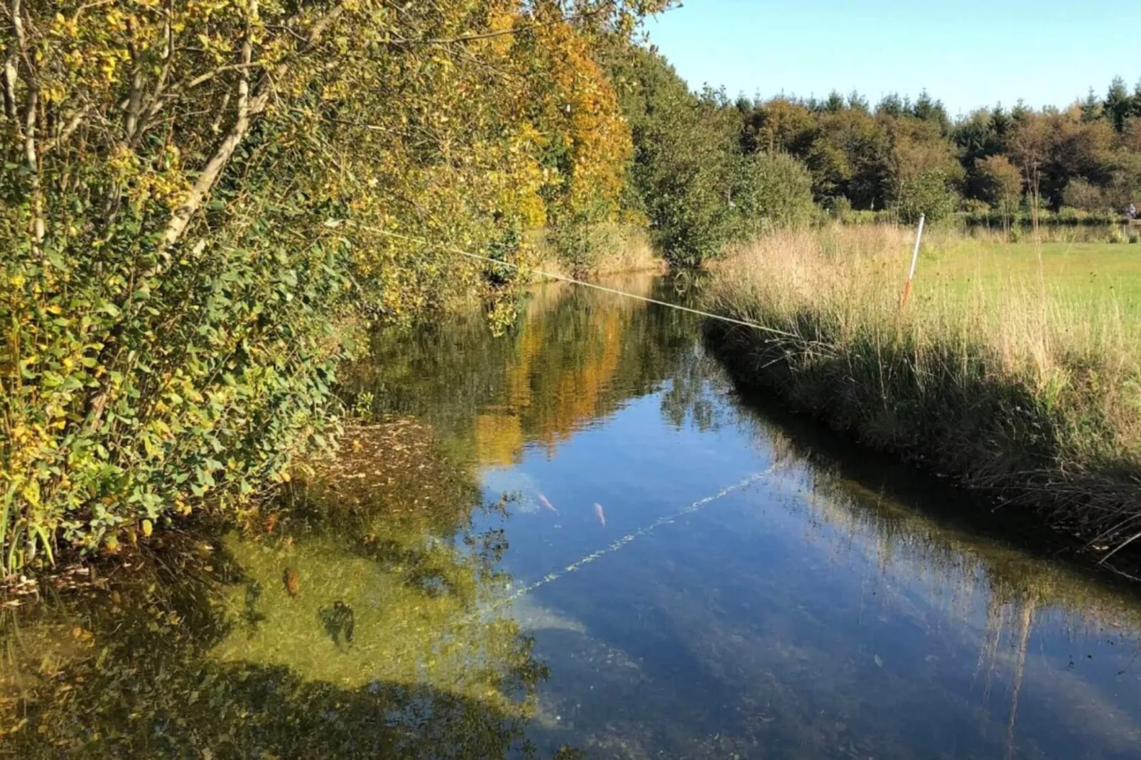 8 persoons vakantie huis in Toftlund-By Traum-Waterzicht