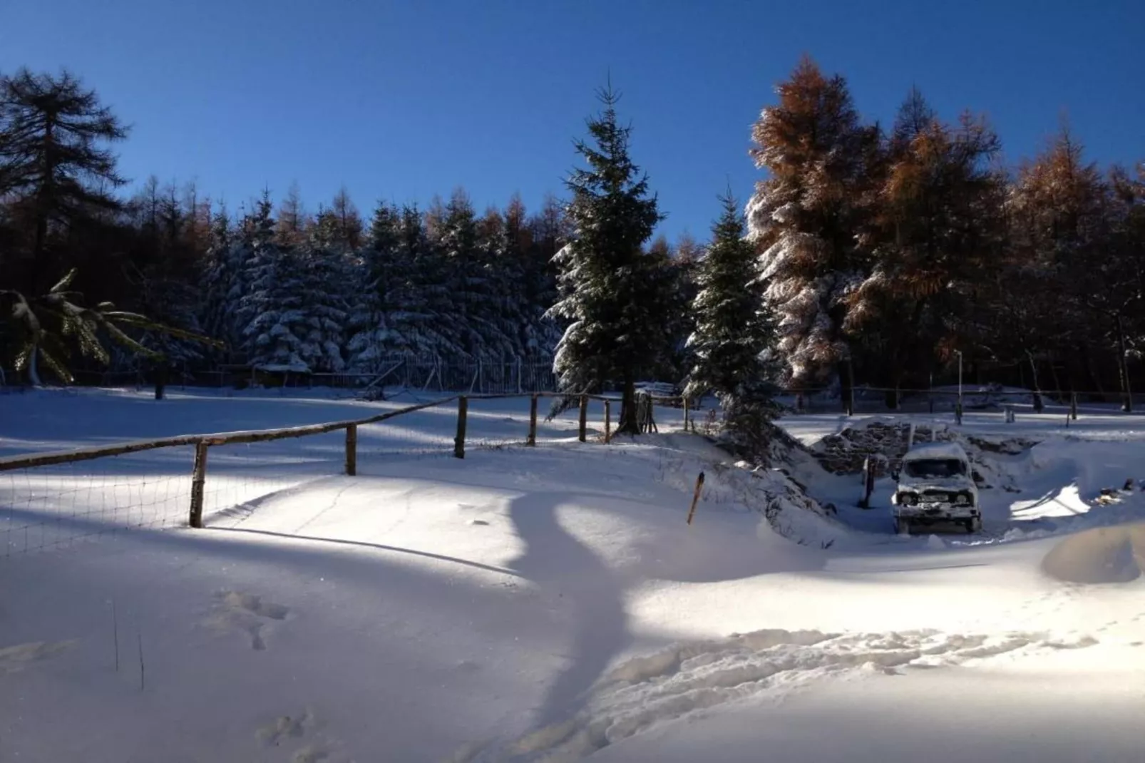 Stela-Gebied winter 5km