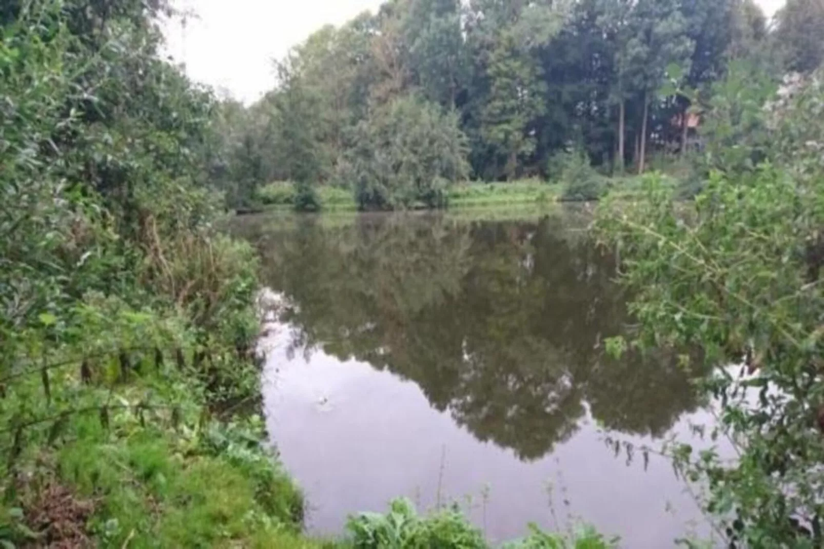 Ferienbungalow Kröpelin-Gebieden zomer 20km