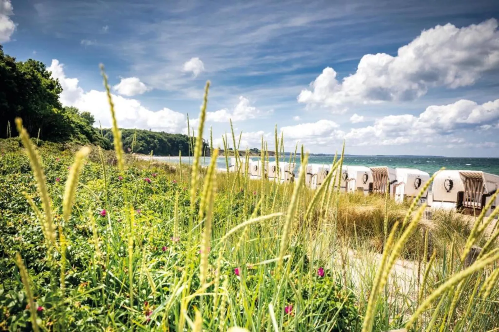 Strandnahe Ferienwohnung Betty mit großem Garten-Gebieden zomer 20km