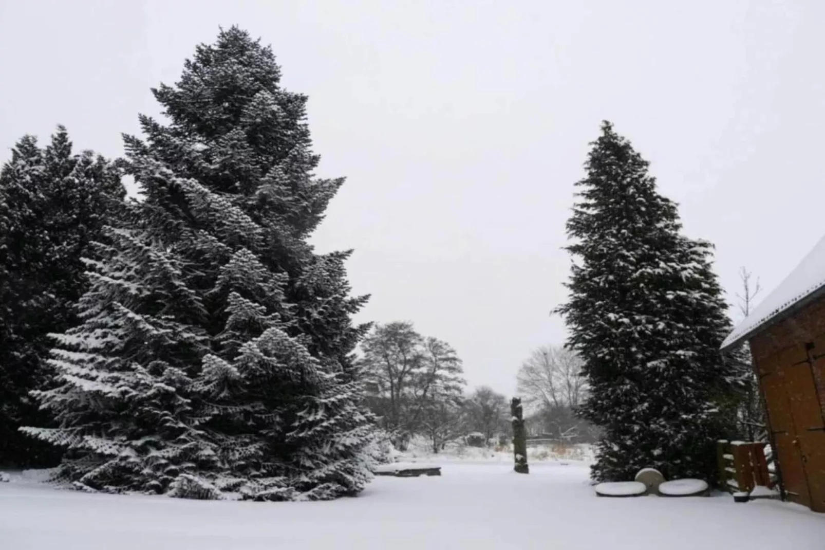 Feriendorf Natur pur 1-Gebied winter 20km