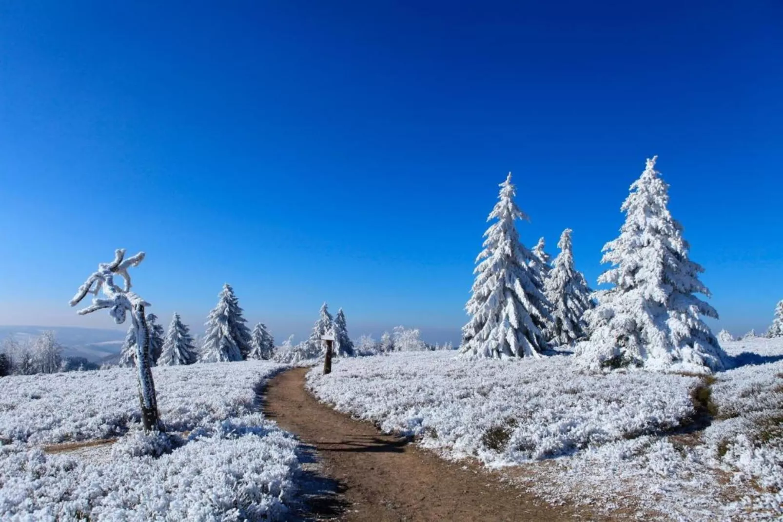 Bergresort Winterberg 3 - Gebied winter 20km