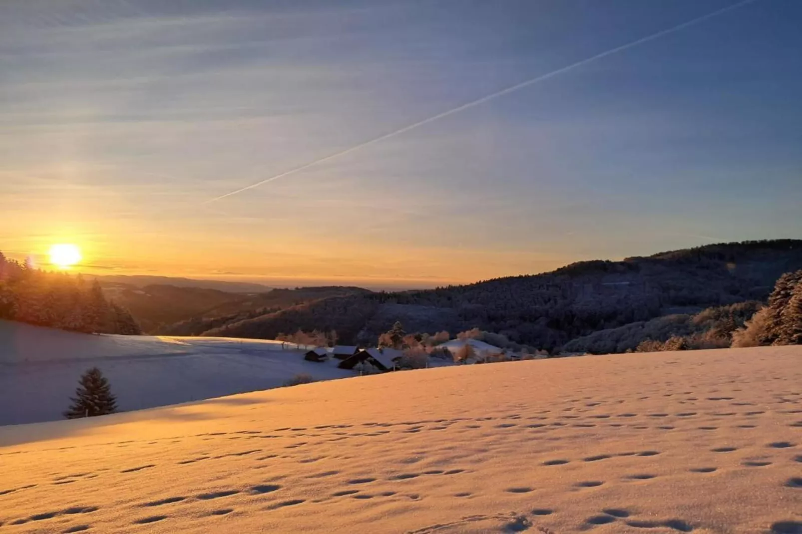 Schwarzwald-Gebied winter 20km