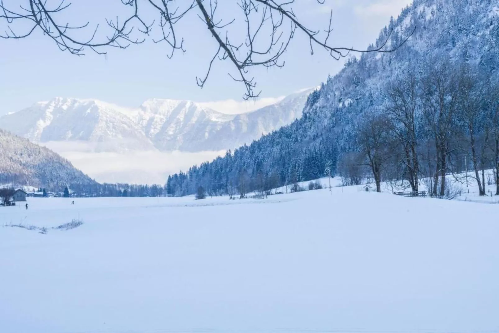 Sonnenblume-Gebied winter 20km