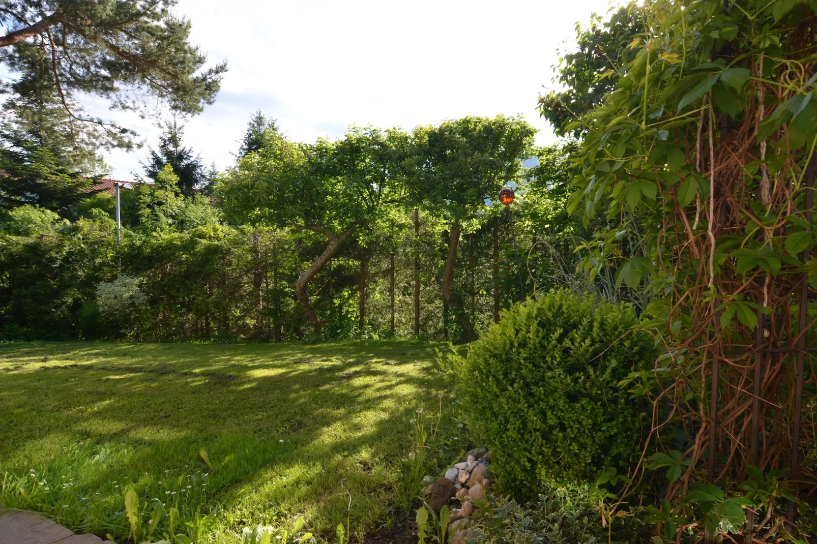 Monika-Uitzicht zomer