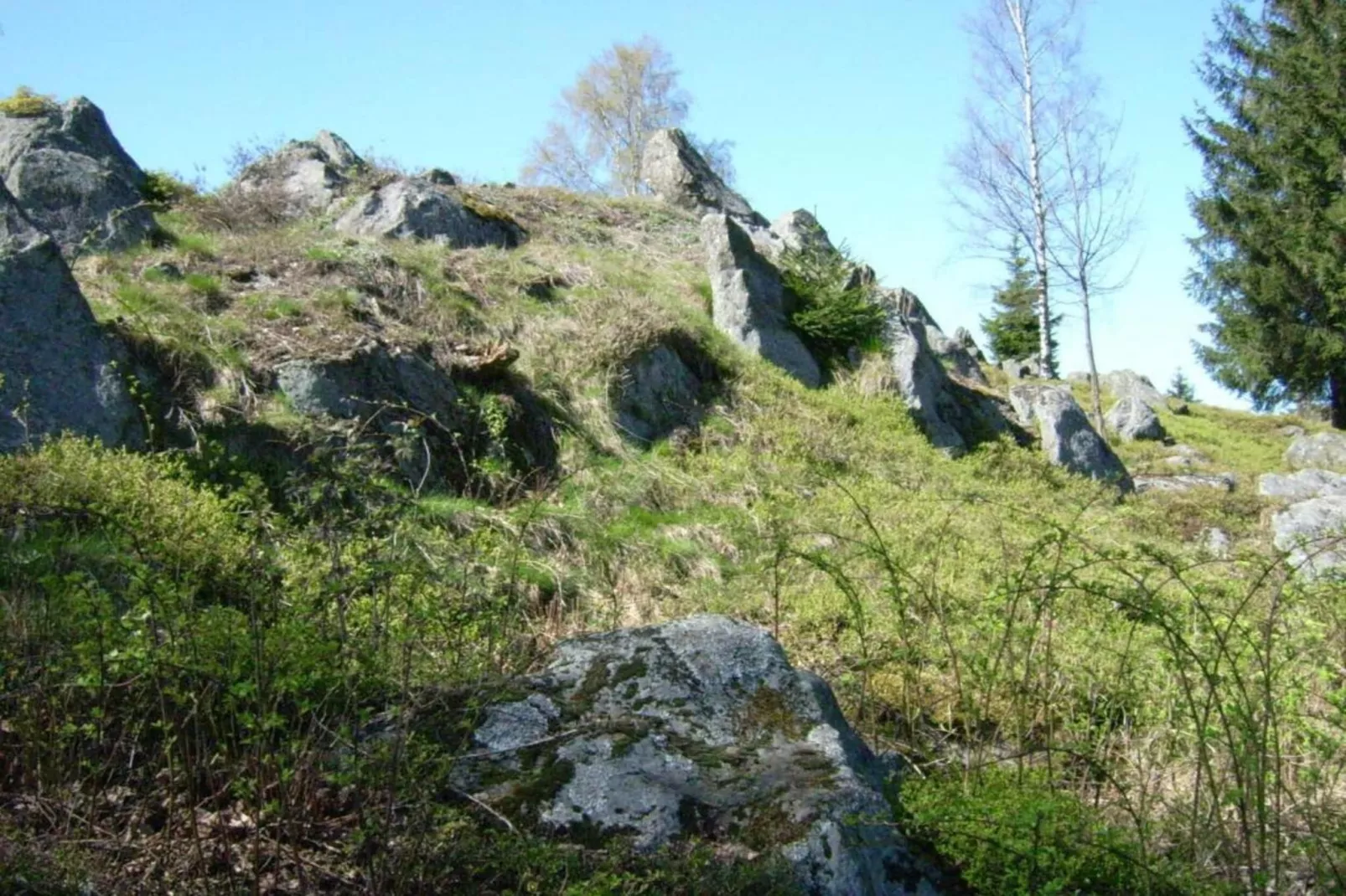 Bayerischer Wald-Gebieden zomer 20km
