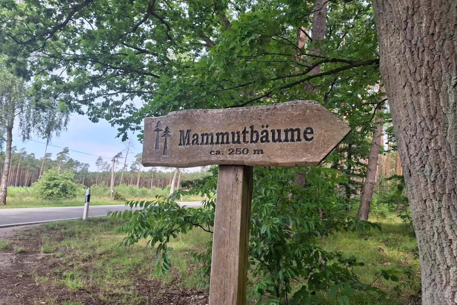 Chalet - 3 Personen-Gebieden zomer 5km