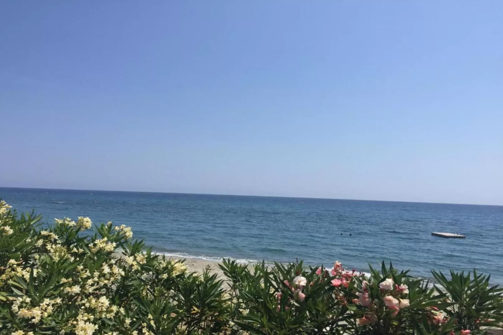 Turquoise-Gebieden zomer 1km