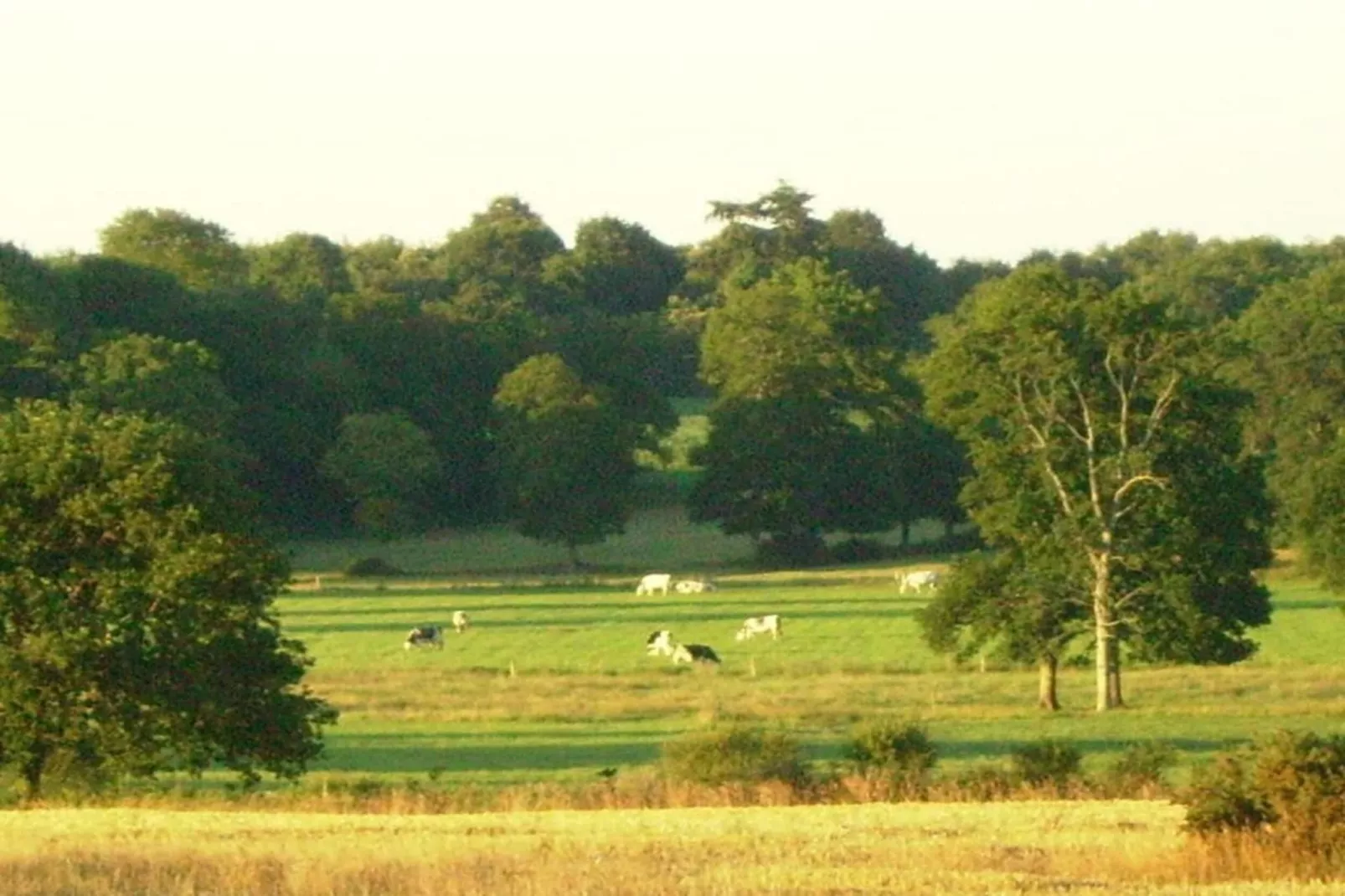 Résidence Le Domaine de l'Emeraude 3-Gebieden zomer 20km