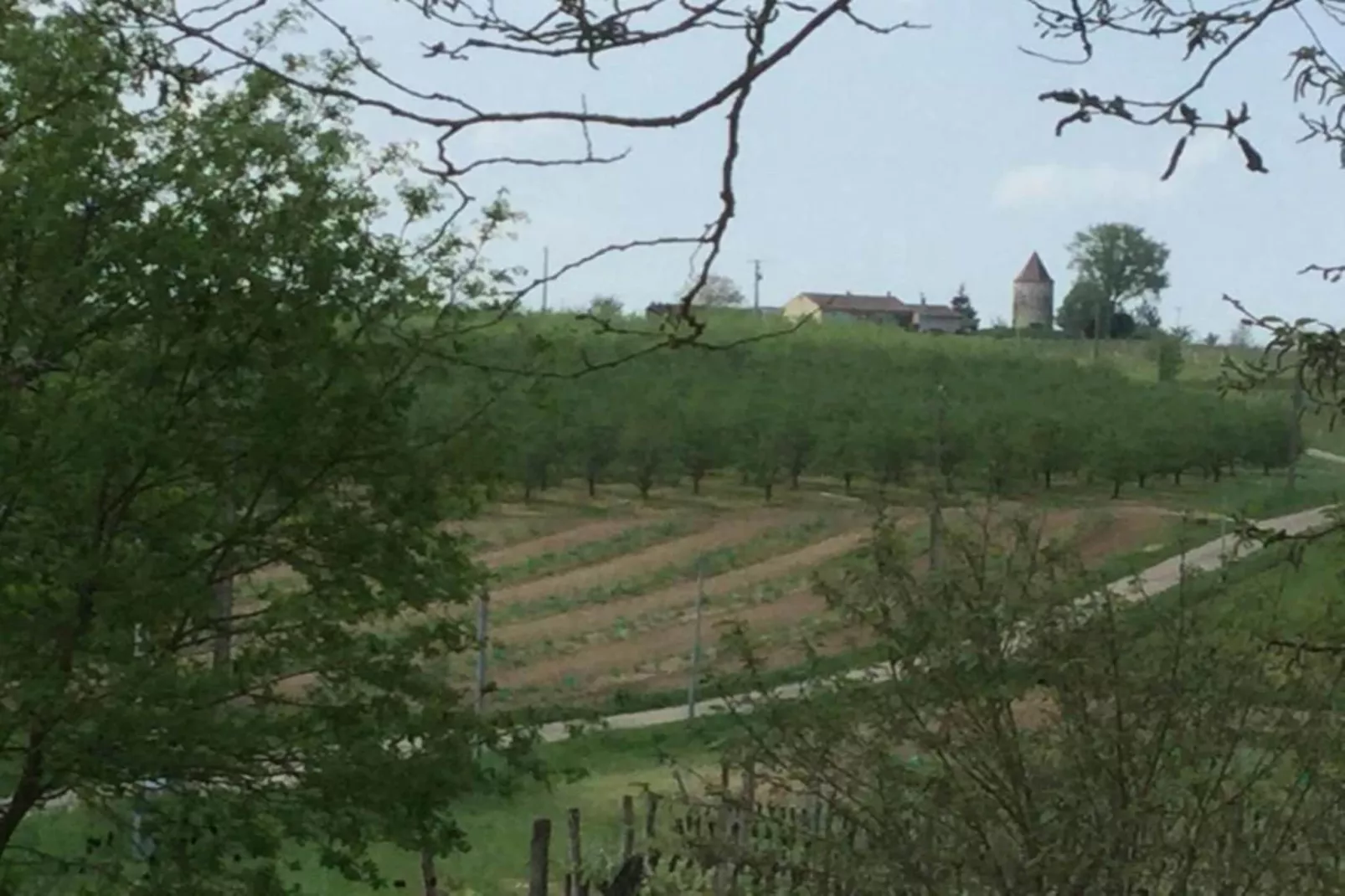 La Coquette-Gebieden zomer 20km