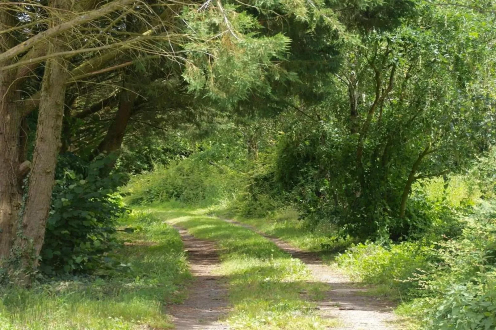 La Juquaise-Gebieden zomer 20km