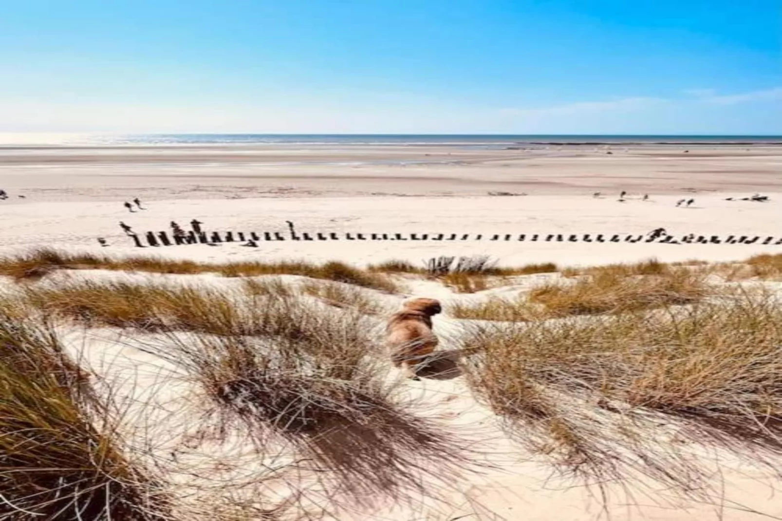Berck sur Mer 8-Gebieden zomer 20km