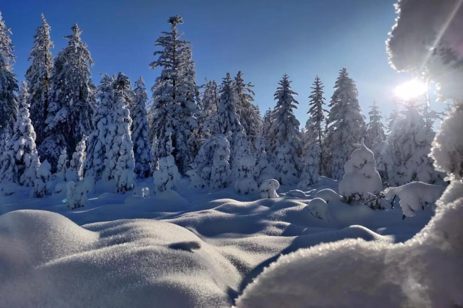 Ronds Chetys-Gebied winter 20km