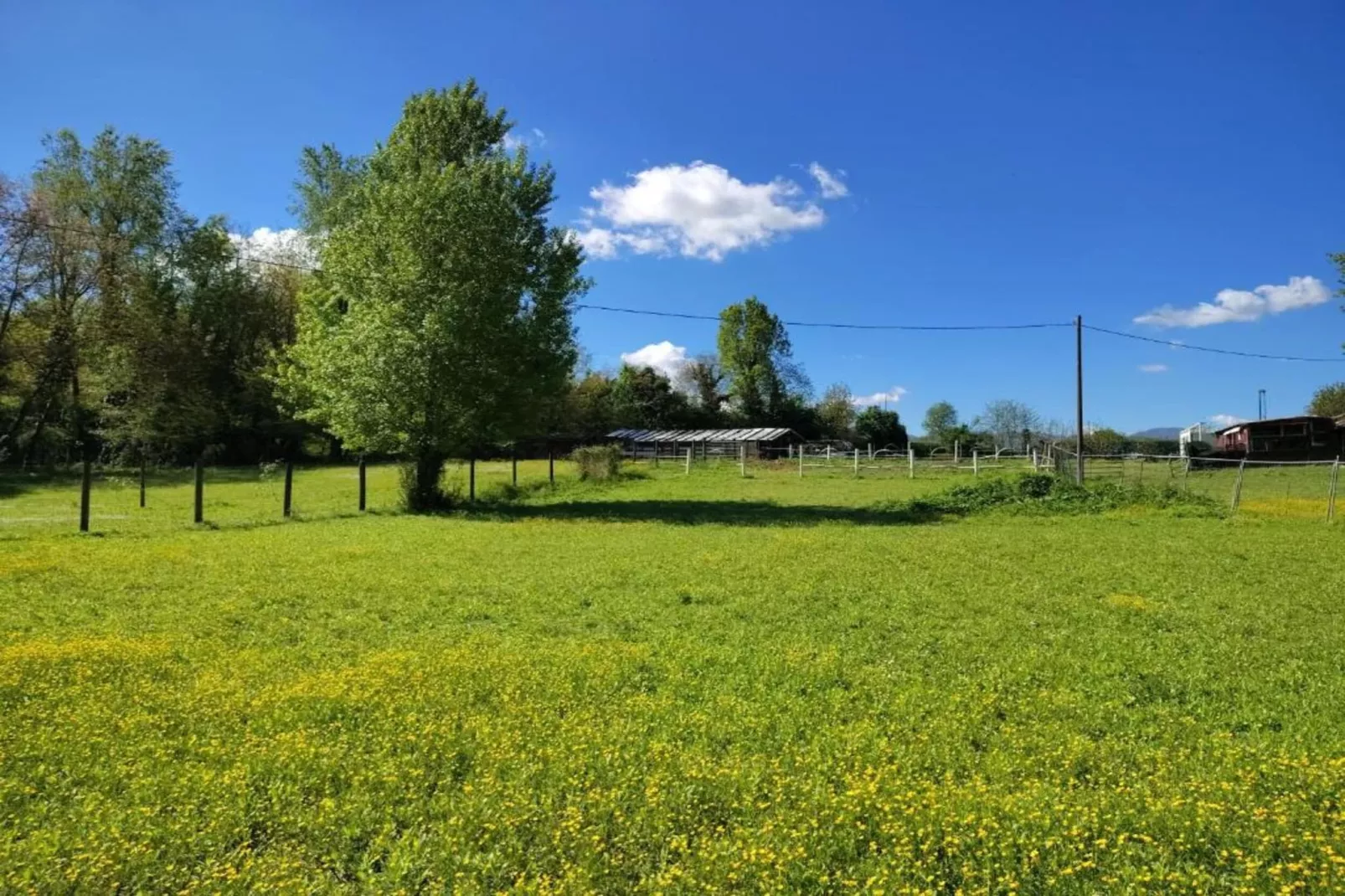Villa Carpaneto-Gebieden zomer 20km