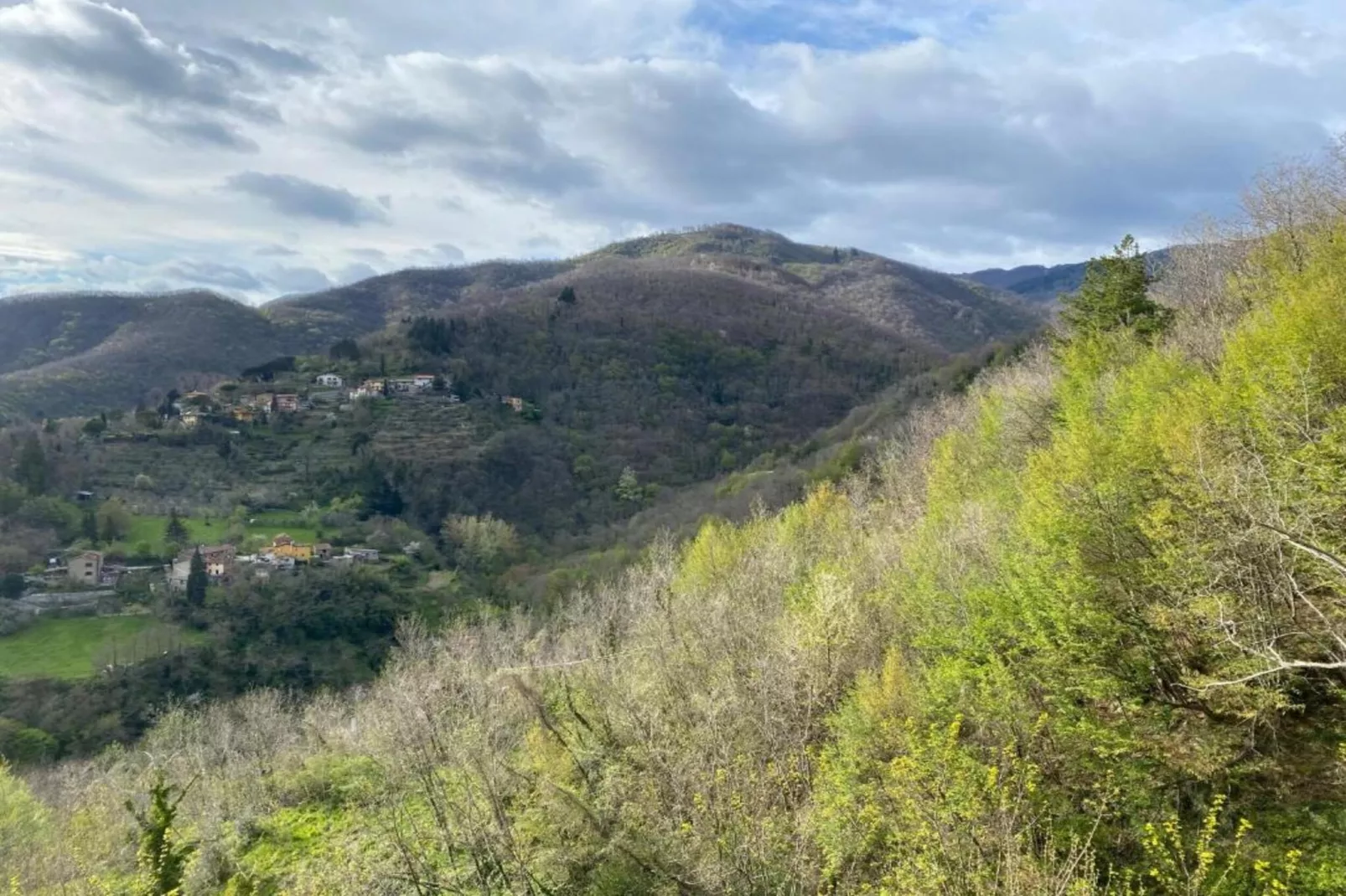 Canaiolo-Gebieden zomer 20km
