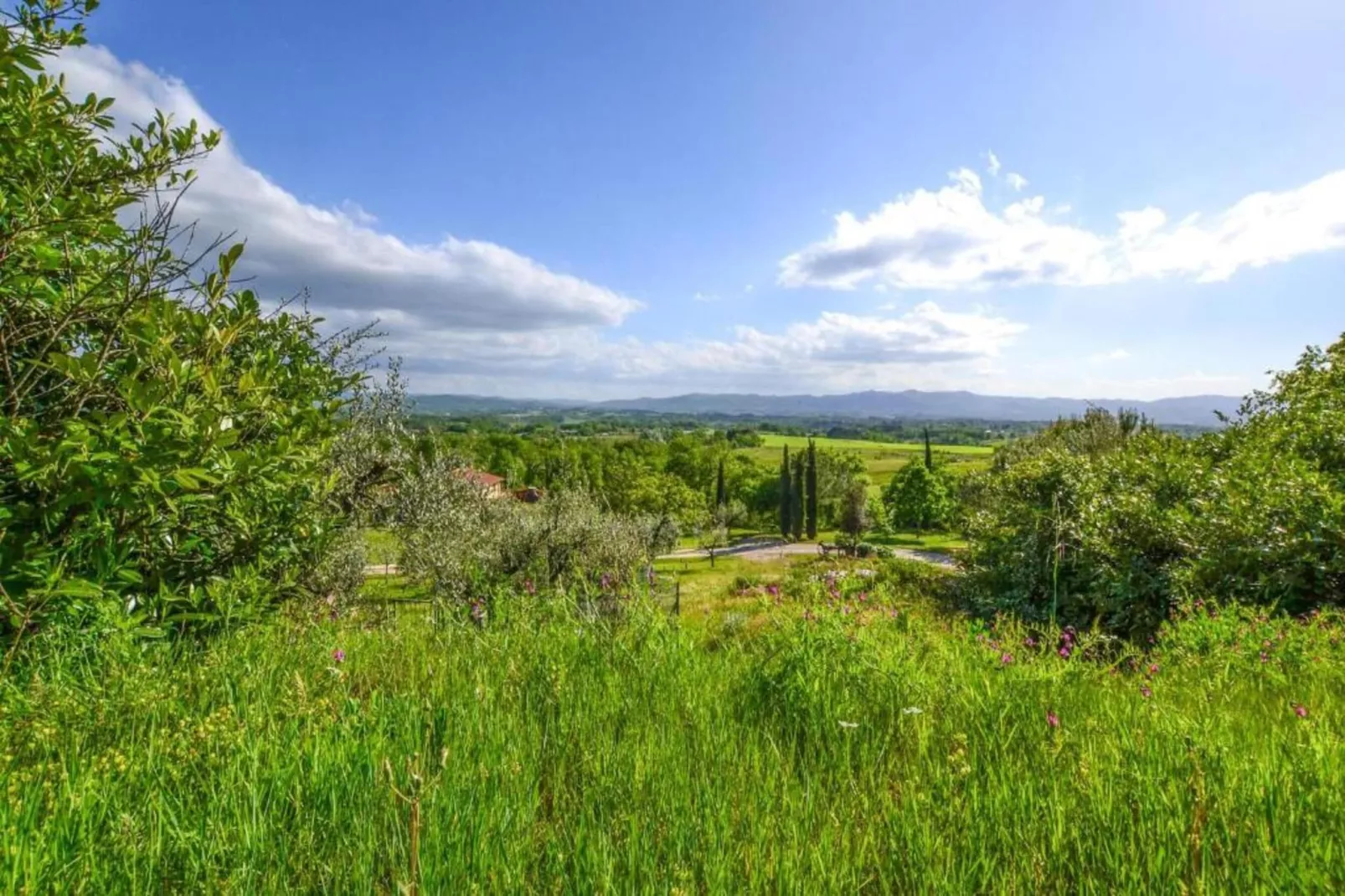 Podere Pulicciano Cantina-Gebieden zomer 5km