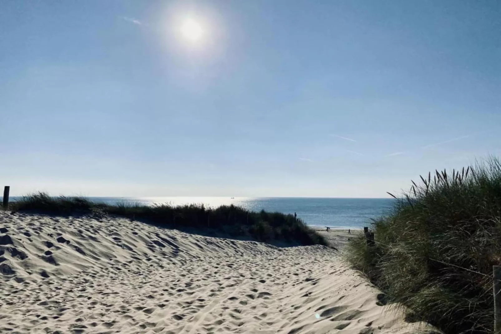 Hazenborgh - Zon-Gebieden zomer 20km