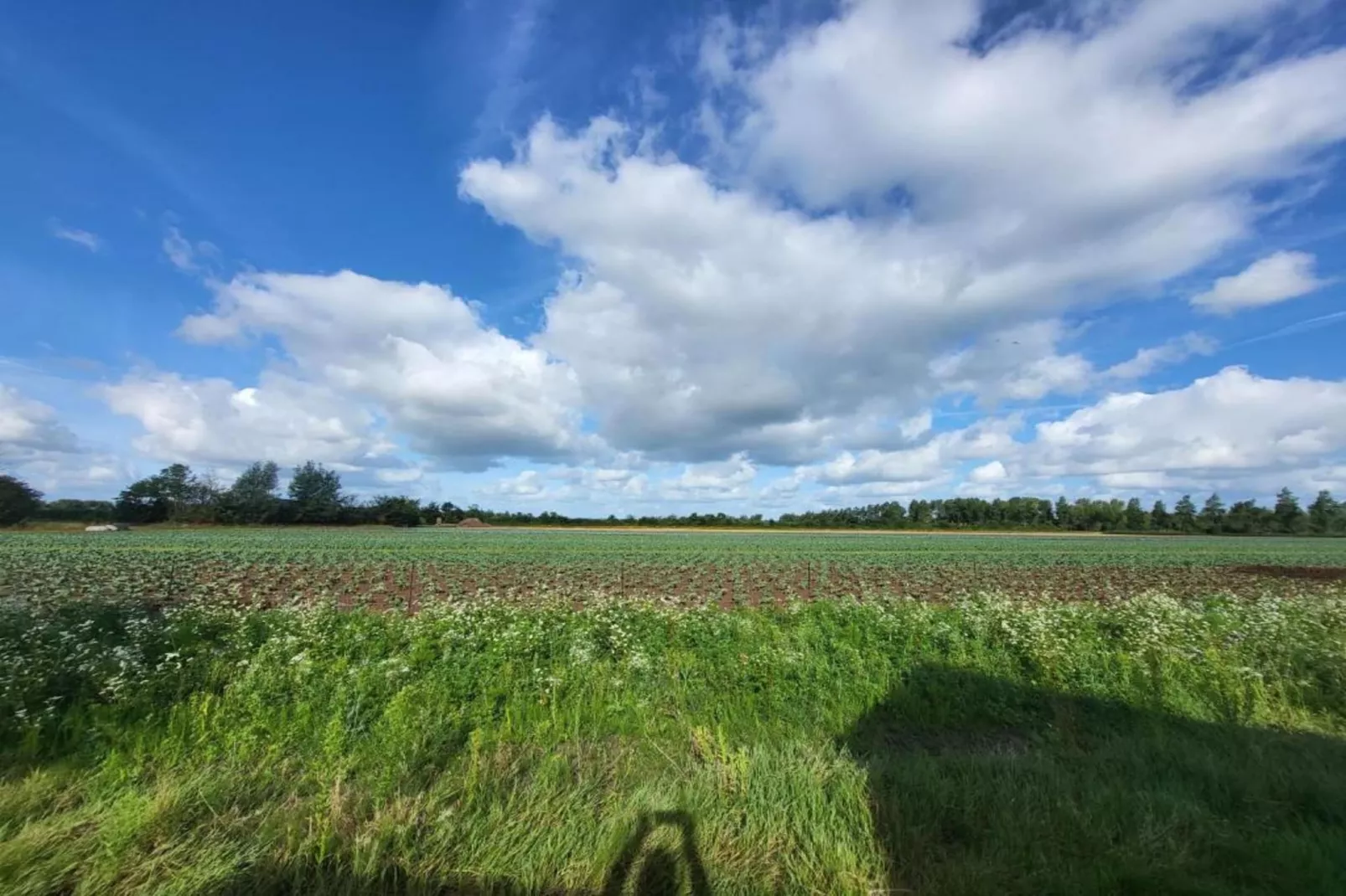 Studio - Kon Emmaweg 6-Gebieden zomer 20km