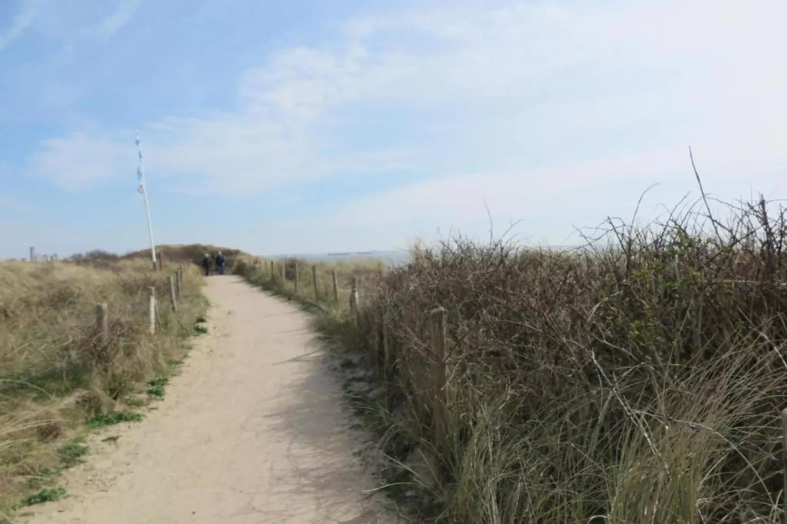 Noordzee Résidence Dishoek 9-Gebieden zomer 5km