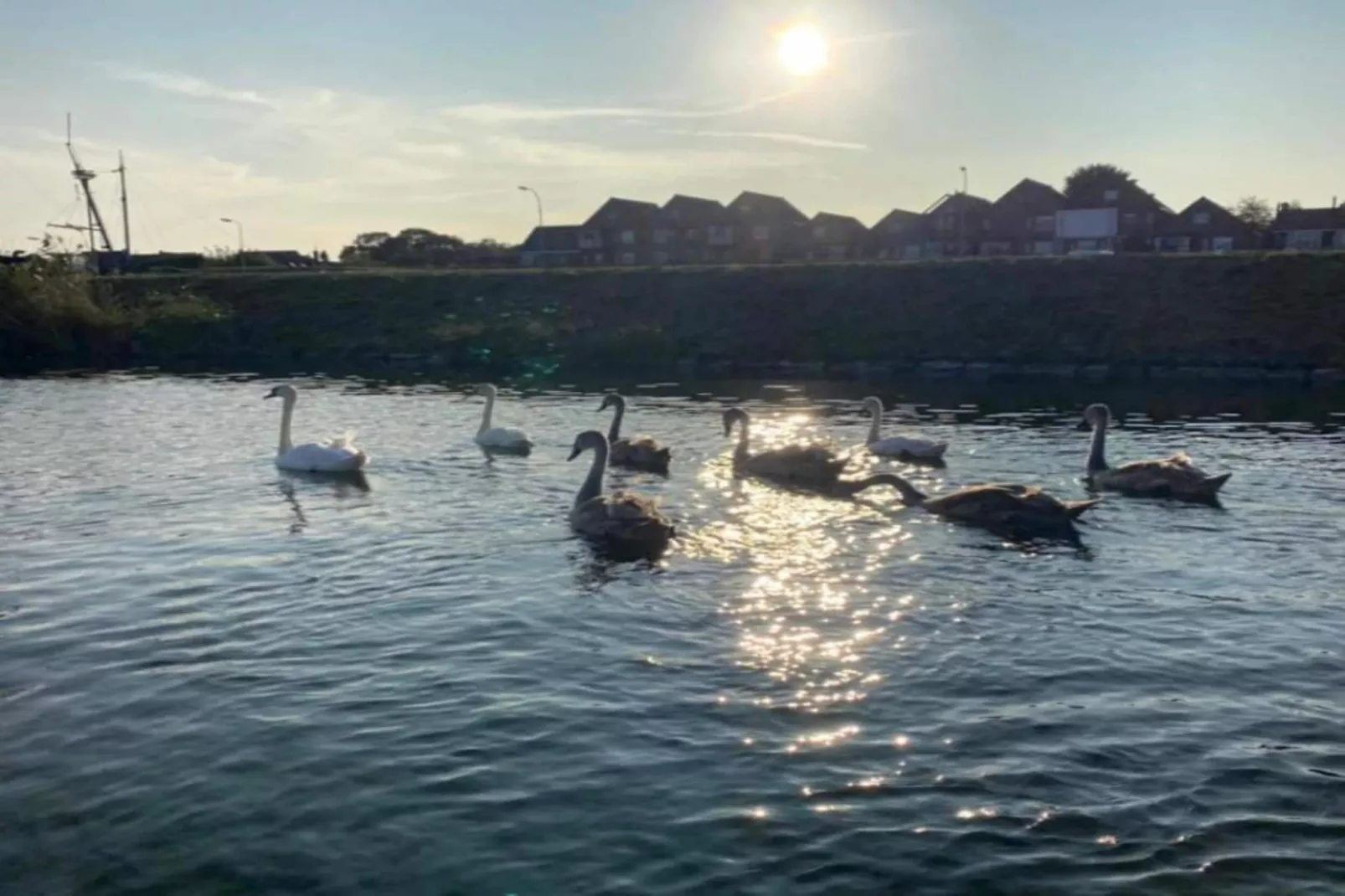Resort Waterrijk Oesterdam 6-Gebieden zomer 20km