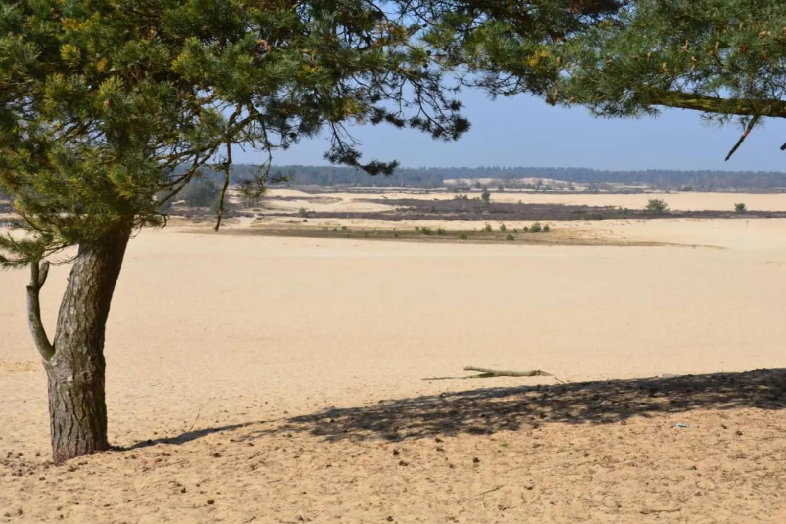 Recreatiepark Duinhoeve 13-Gebieden zomer 20km