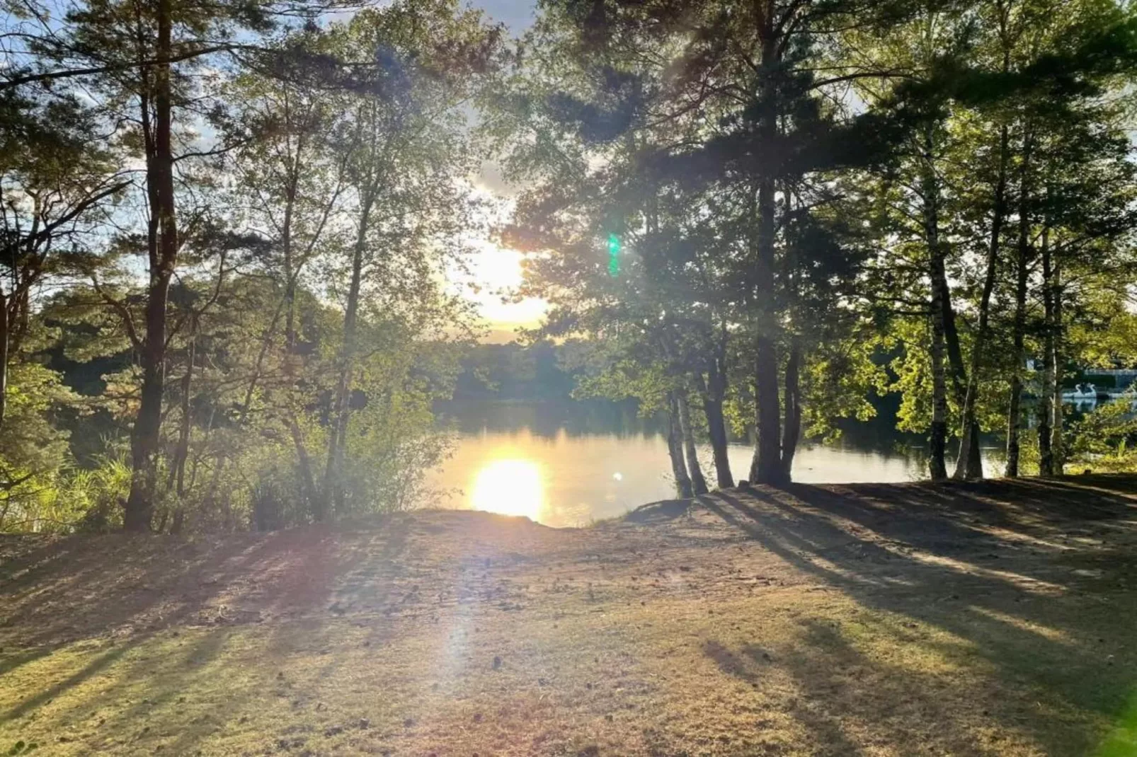 Bospark 't Wolfsven 15-Gebieden zomer 5km