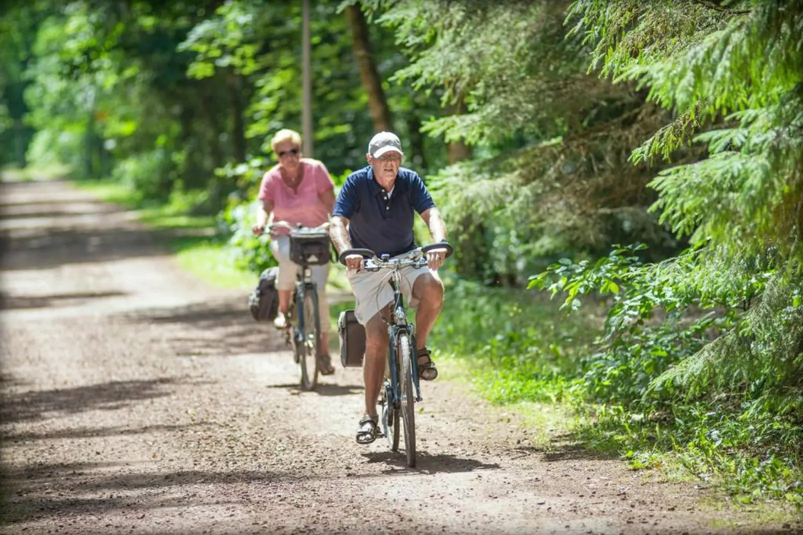 RCN Vakantiepark de Roggeberg 8-Gebieden zomer 20km