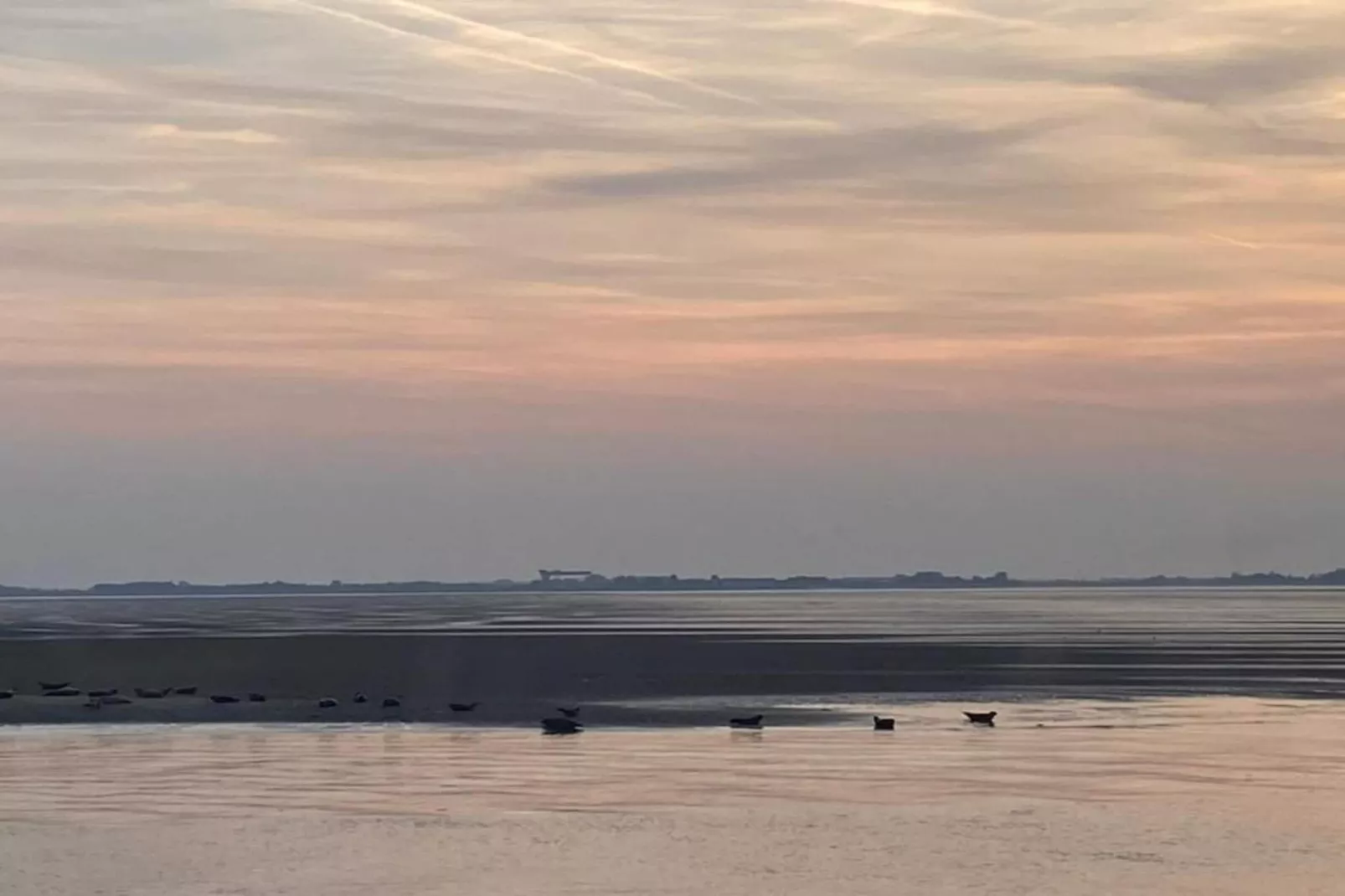 De Meerkoet Huis Nr 37-Gebieden zomer 20km