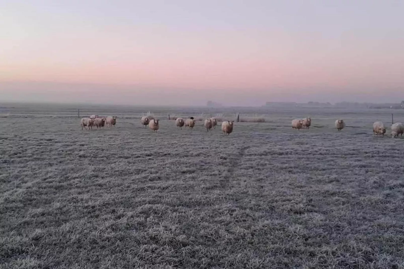 Recreatiepark Idskenhuizen 10-Gebieden zomer 20km