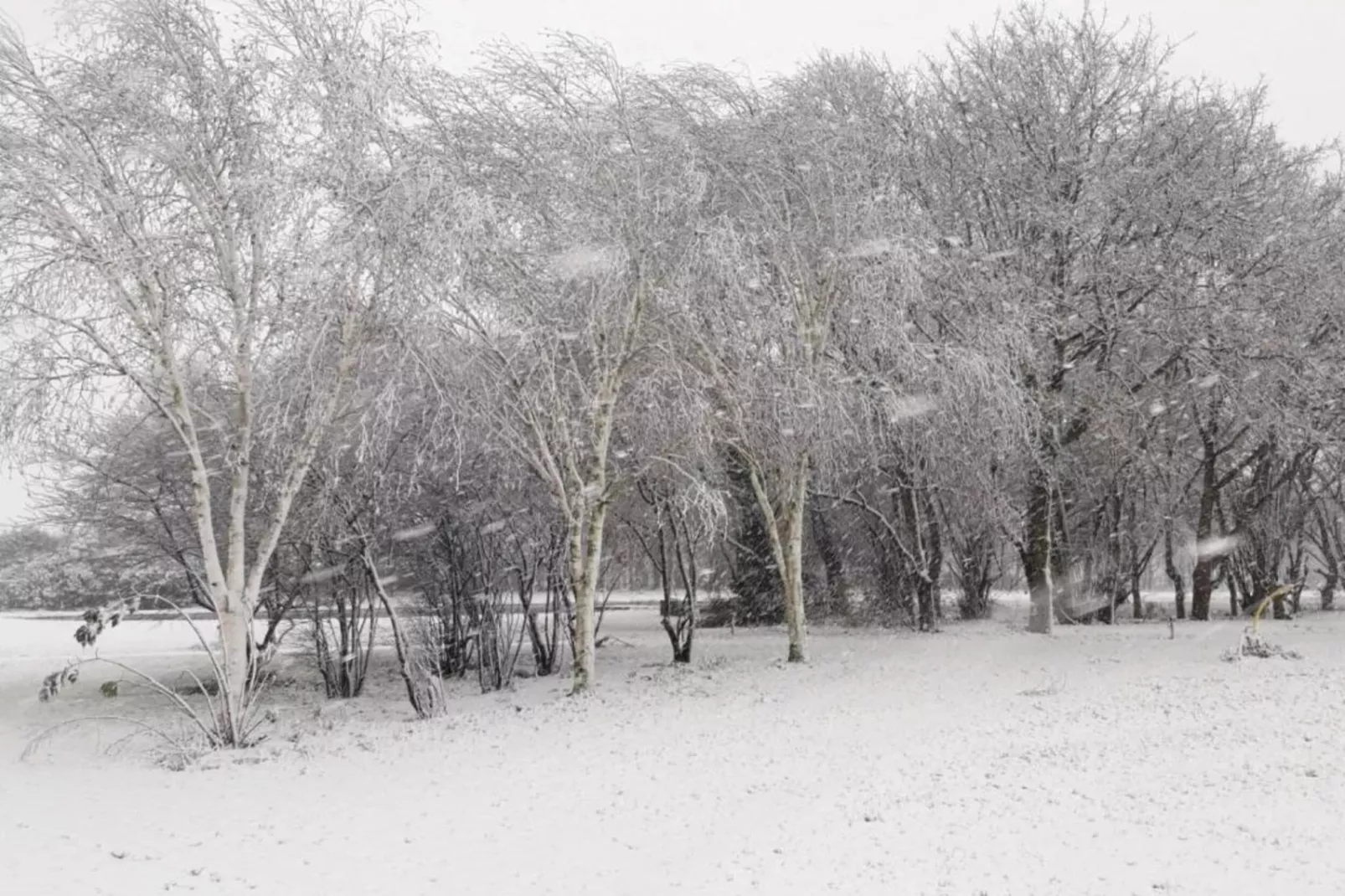 Parc de Kievit 20-Gebied winter 20km