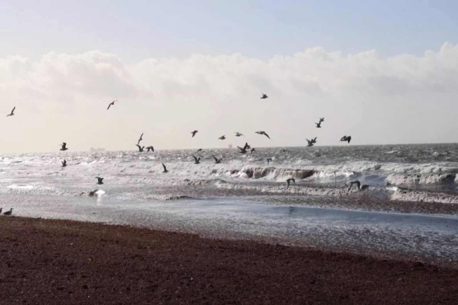 6 persoons vakantie huis in Dannemare-By Traum-Buitenlucht