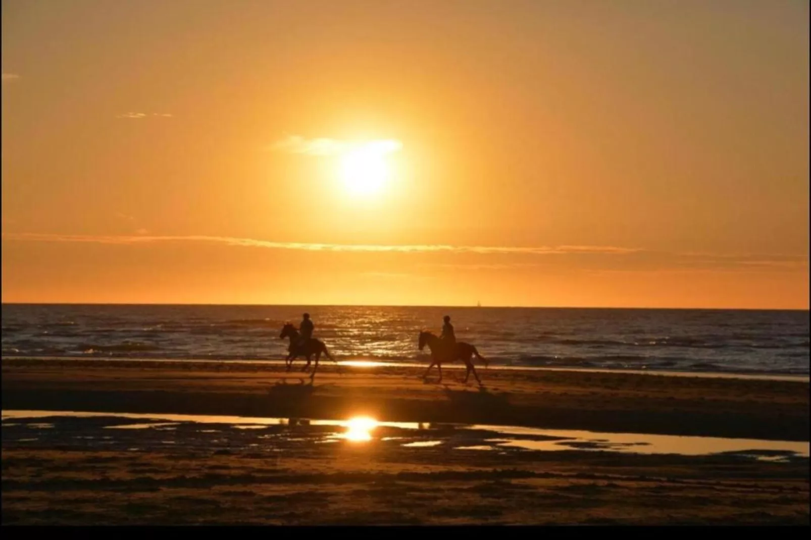 Alexander 0202 5-Gebieden zomer 20km