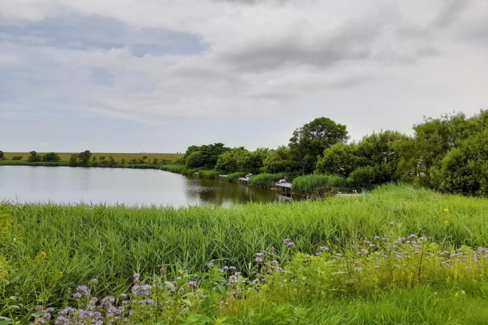 Penthouse Küstenzauber auf Nordstrand 4 Personen-Gebieden zomer 1km