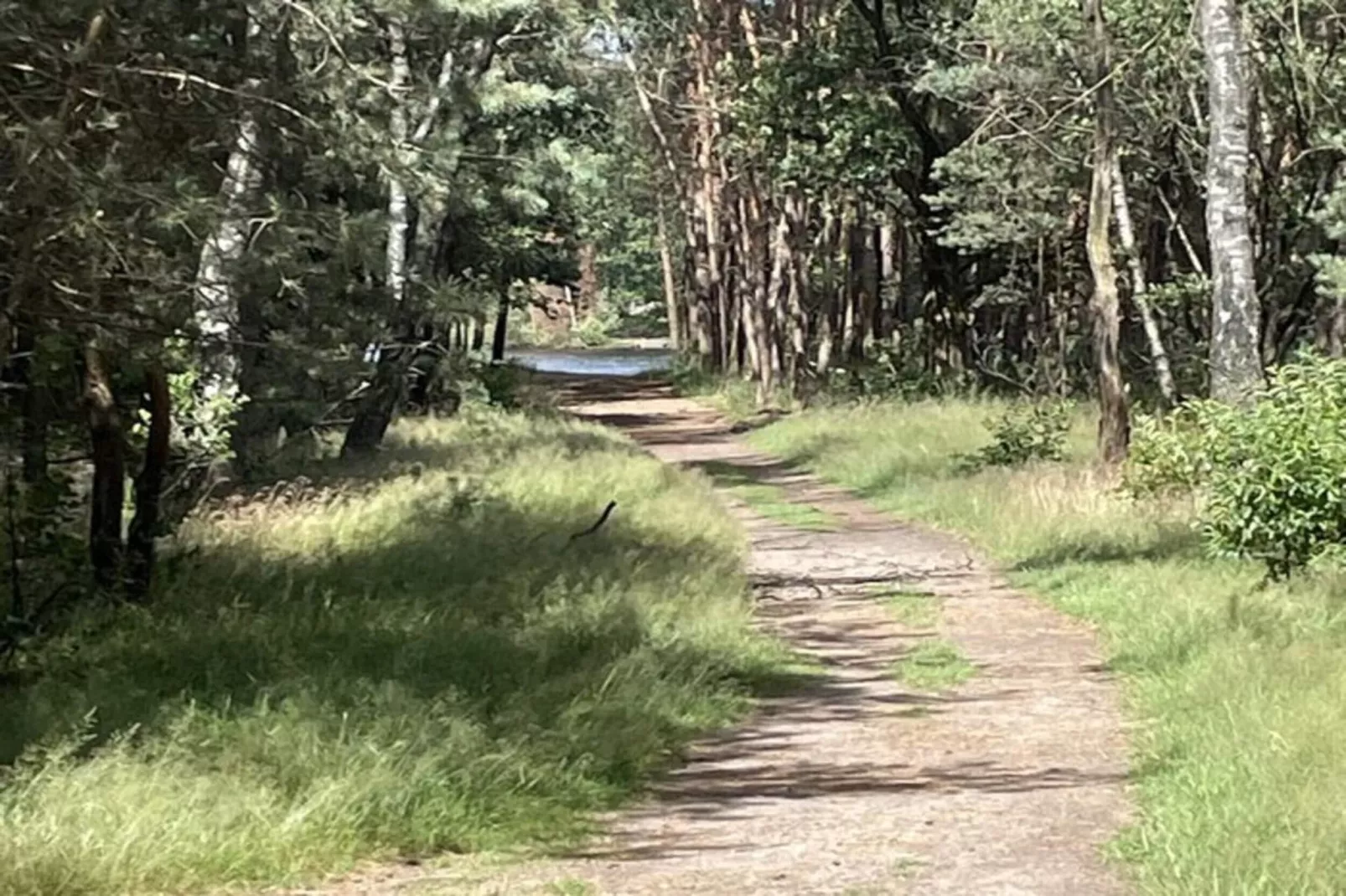 Dwergarend 17-30 - Gebieden zomer 20km