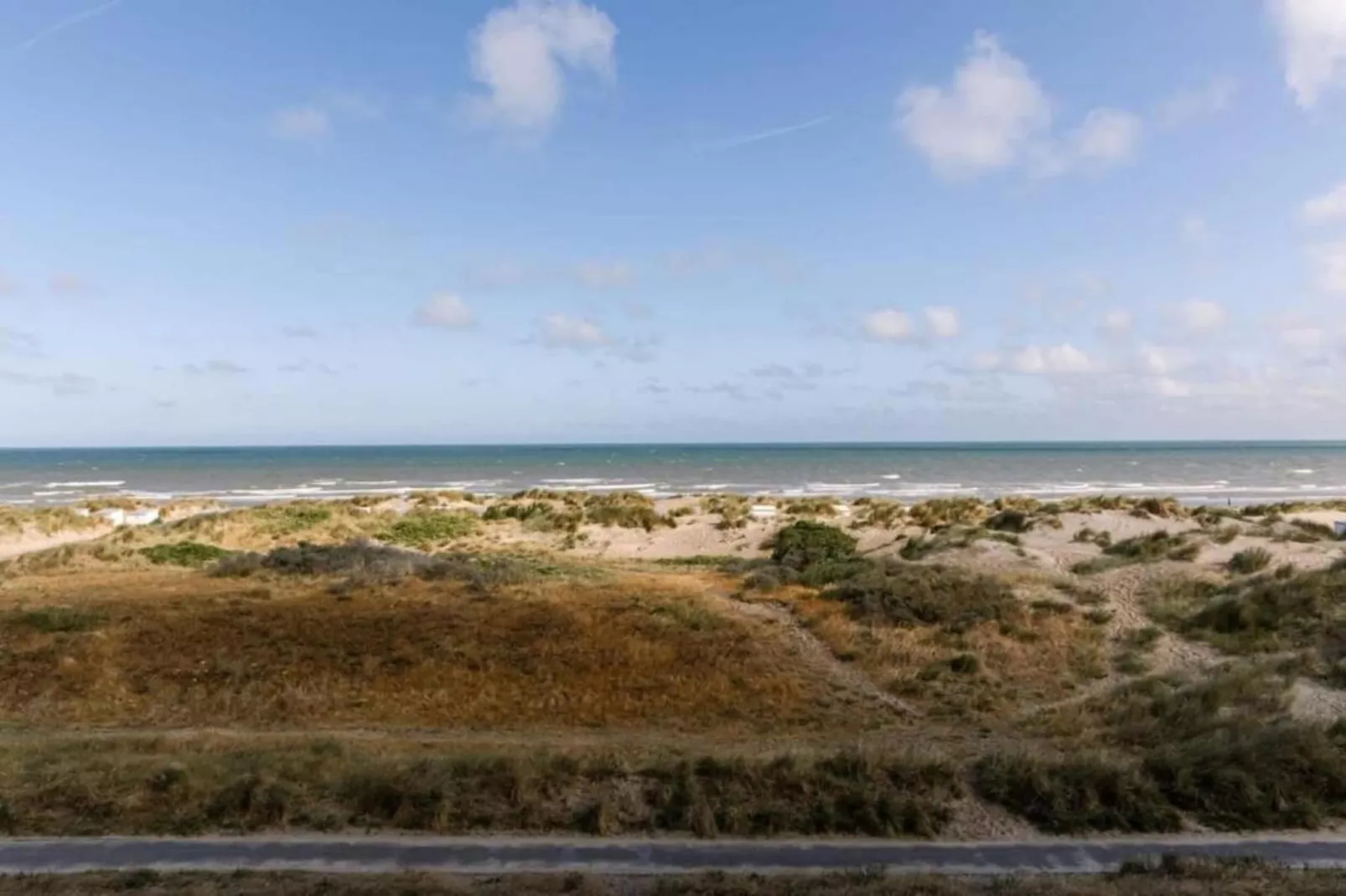 PLAZA A1/A1A02-Gebieden zomer 5km