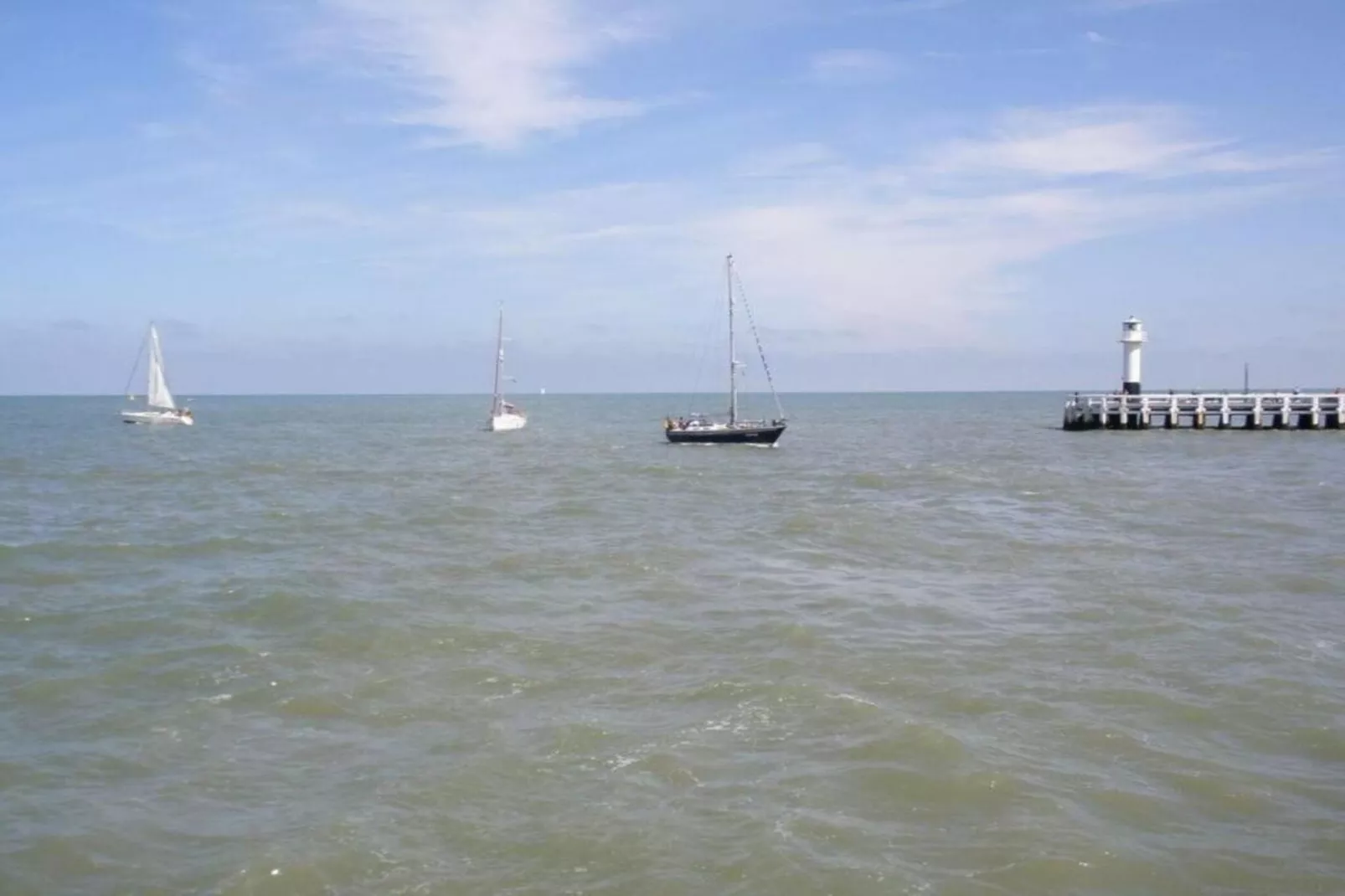 WESTDIEP/WEST31-Gebieden zomer 5km