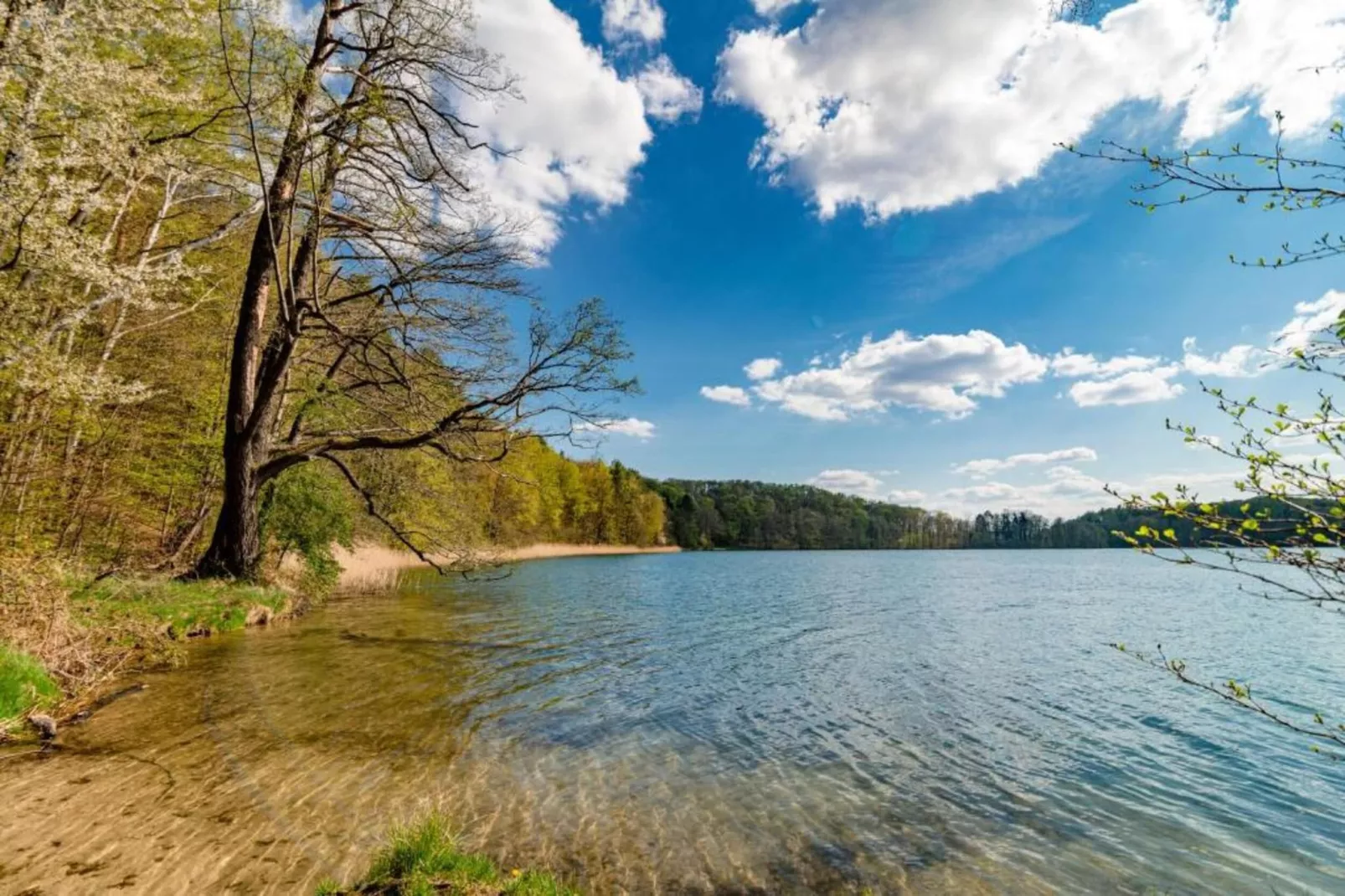 Holiday Home Louisa-Gebieden zomer 20km