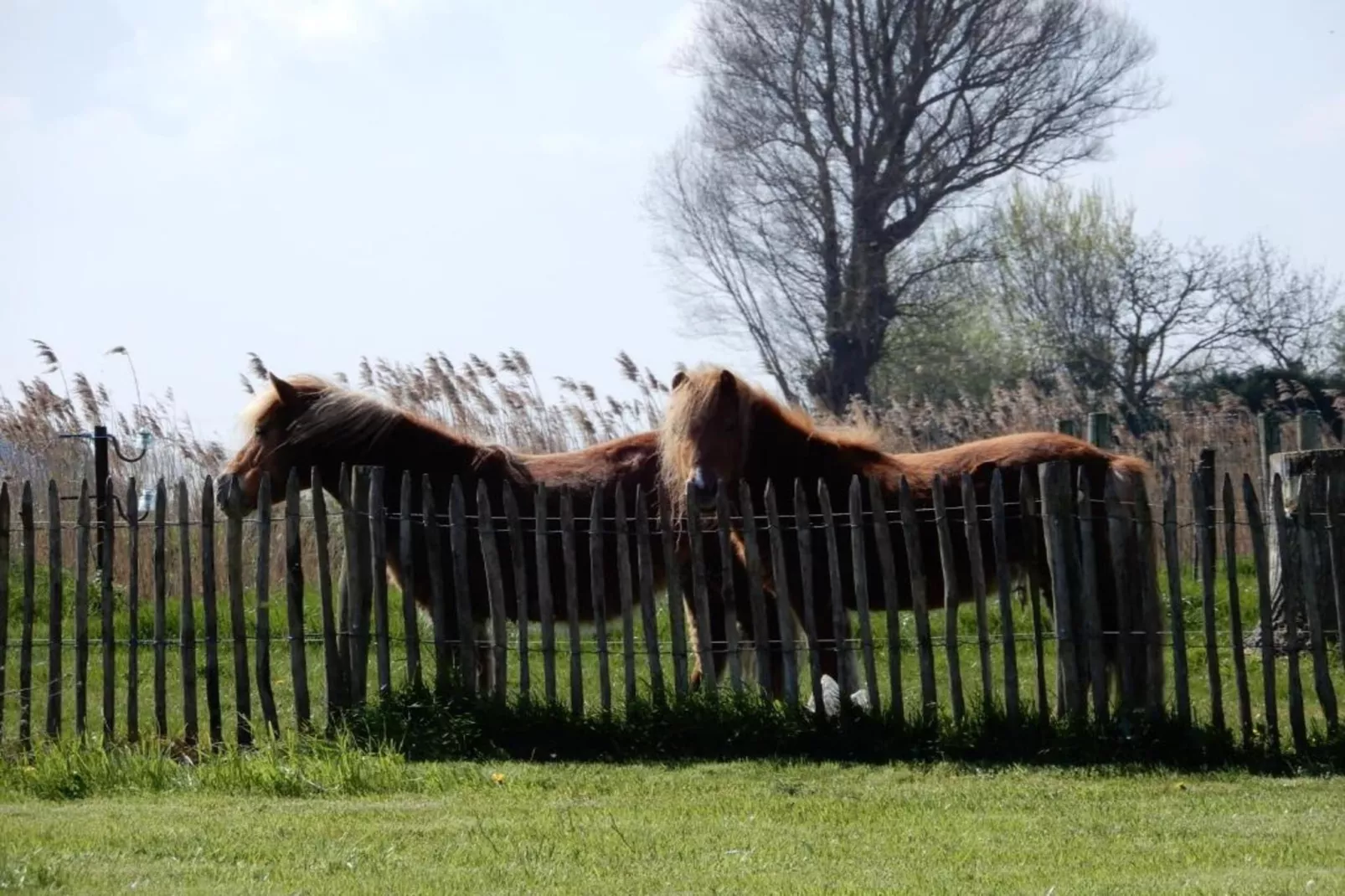 DEN OEVER VI 103-Gebieden zomer 20km