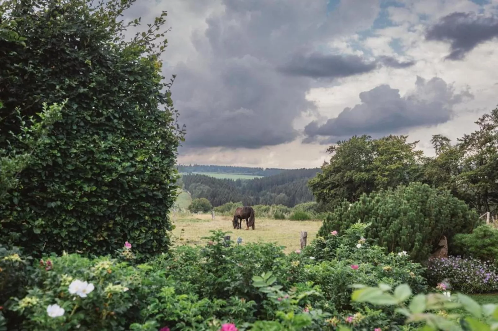 Appartement Eifelsteig-Gebieden zomer 20km