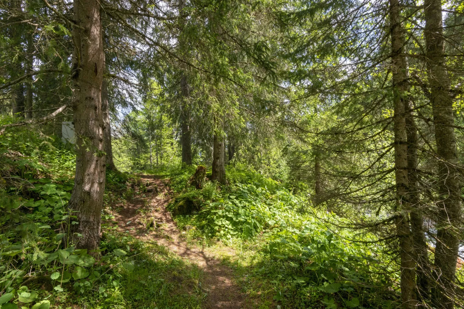 Haus Lukan Groß-Gebieden zomer 20km