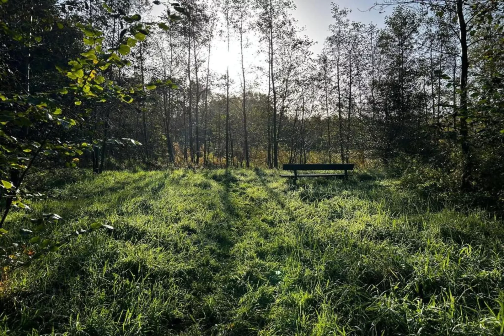 Huisje 'In de Tuin' B-Gebieden zomer 20km