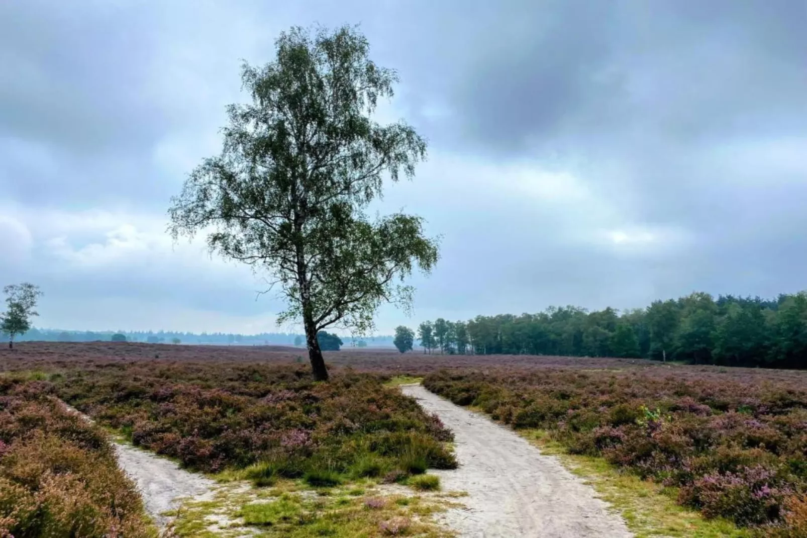 Halseweg 54-Gebieden zomer 20km