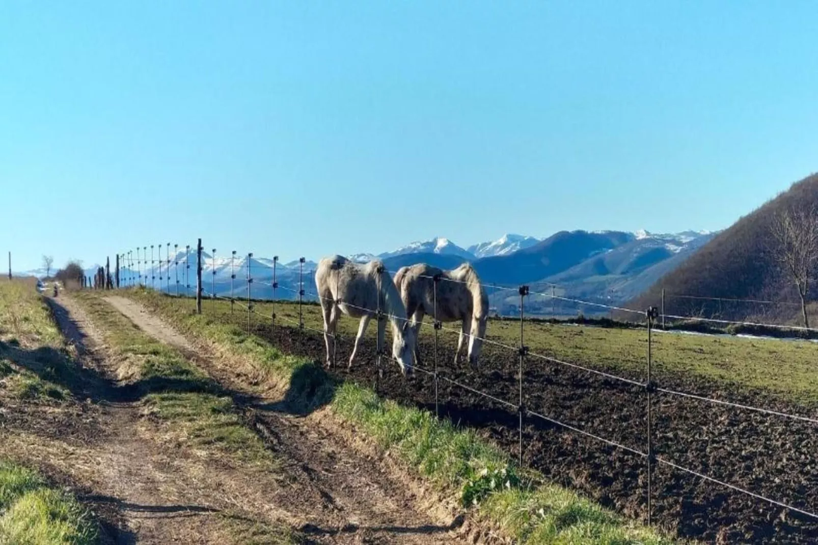 Binnella 10-Gebieden zomer 20km